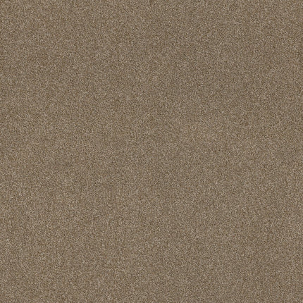 Ocean View - ZZ043_00736-Carpet