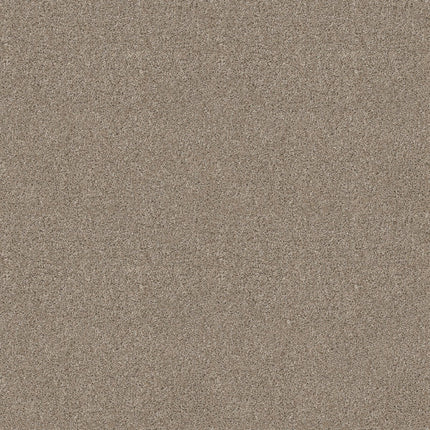 Ocean View - ZZ043_00725-Carpet
