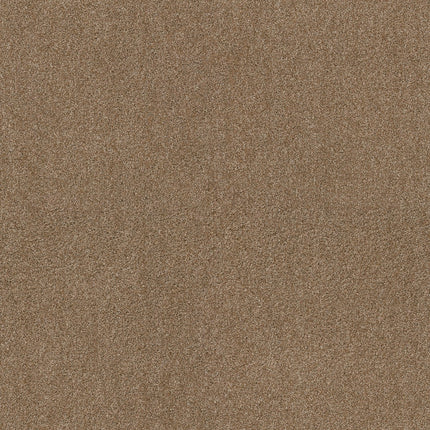 Ocean View - ZZ043_00228-Carpet