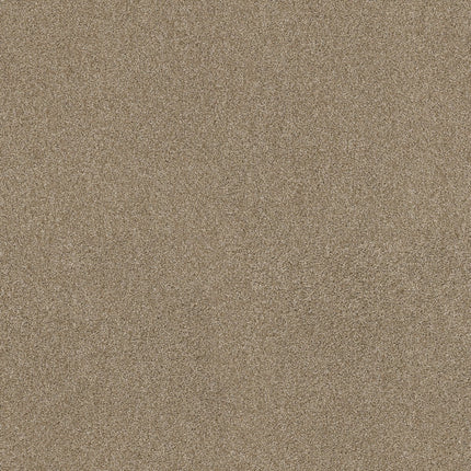 Ocean View - ZZ043_00733-Carpet