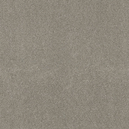 Ocean View - ZZ043_00534-Carpet