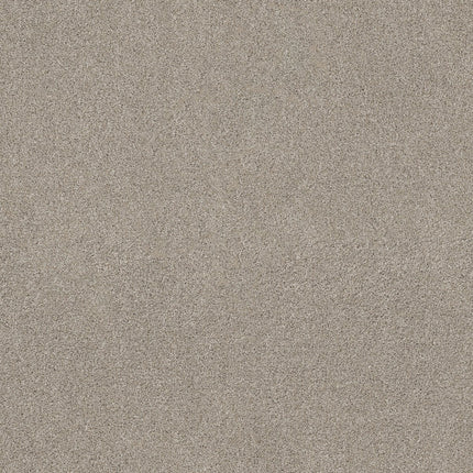 Ocean View - ZZ043_00512-Carpet