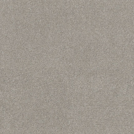 Ocean View - ZZ043_00542-Carpet