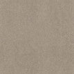 Smoky Suede