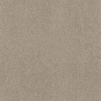 Smoky Suede