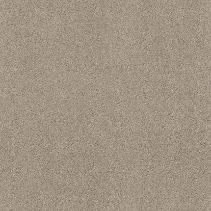 Ocean View - ZZ043_00712-Carpet