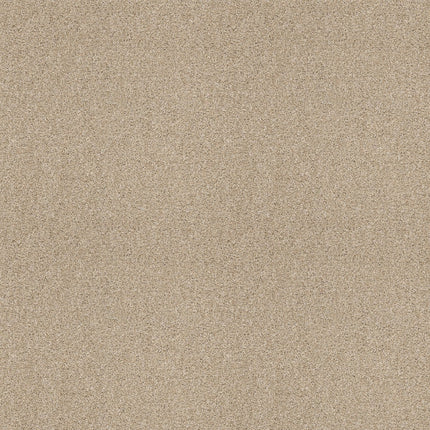 Ocean View - ZZ043_00123-Carpet