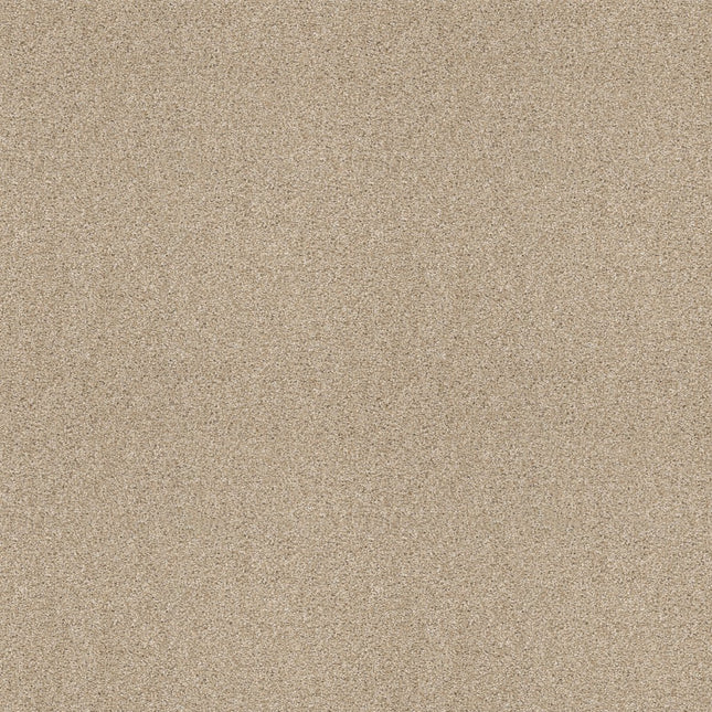Ocean View - ZZ043_00123-Carpet
