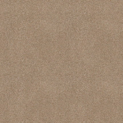 Ocean View - ZZ043_00273-Carpet