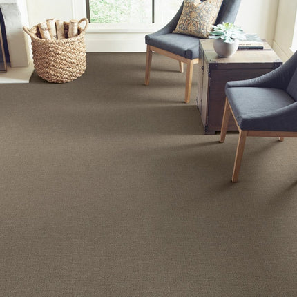 One More Hour - ZZ233_00555-Carpet