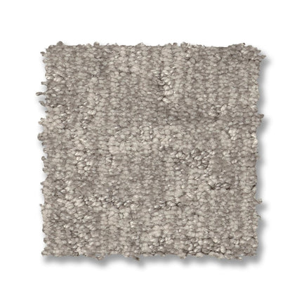 Paw-Tay - ZZ221_00152-Carpet