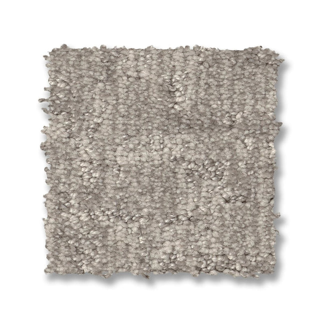 Paw-Tay - ZZ221_00152-Carpet