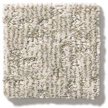 Paw-Tay - ZZ221_00173-Carpet