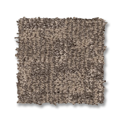 Paw-Tay - ZZ221_00273-Carpet