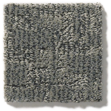 Paw-Tay - ZZ221_00557-Carpet