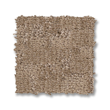 Paw-Tay - ZZ221_00274-Carpet