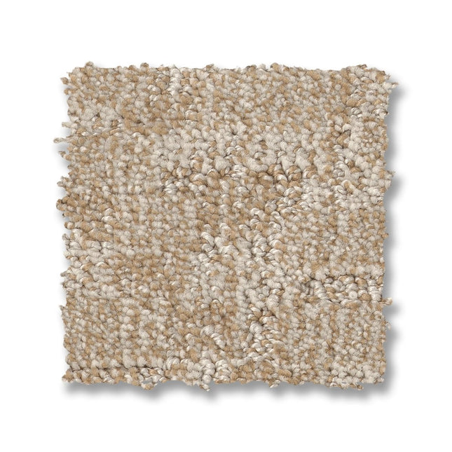 Paw-Tay - ZZ221_00122-Carpet