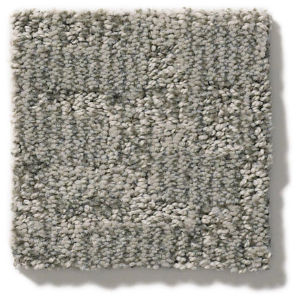Paw-Tay - ZZ221_00556-Carpet