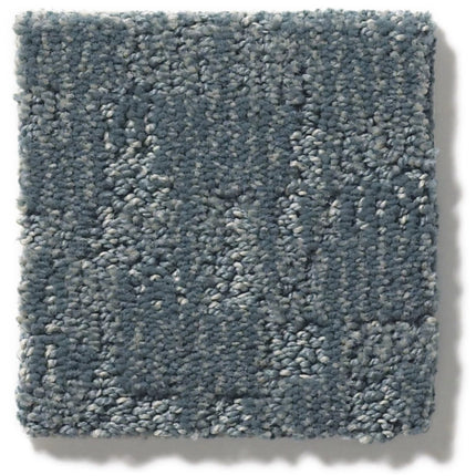 Paw-Tay - ZZ221_00435-Carpet