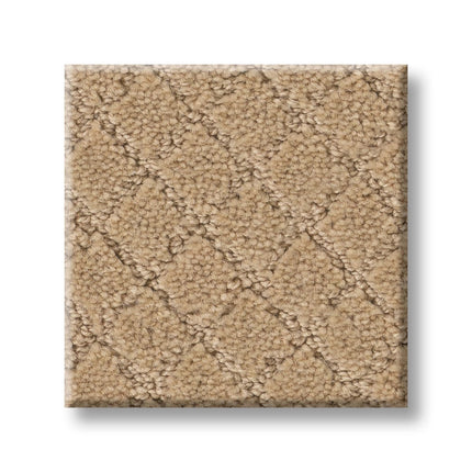 Pawnache - ZZ080_00223-Carpet