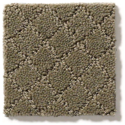 Pawnache - ZZ080_00536-Carpet
