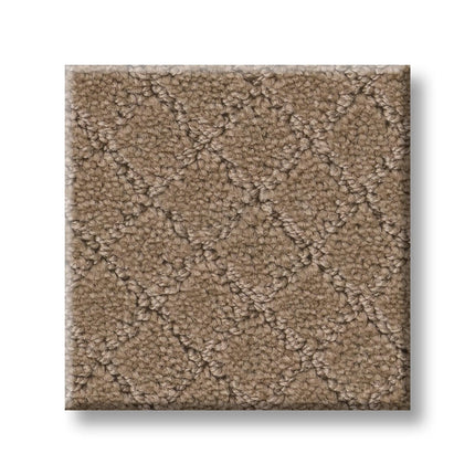 Pawnache - ZZ080_00186-Carpet