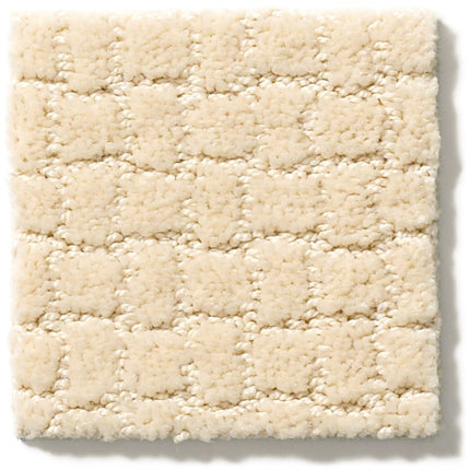Pawstruck - ZZ081_00121-Carpet