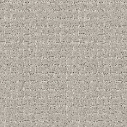 Pawstruck - ZZ081_00510-Carpet