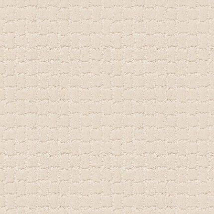 Pawstruck - ZZ081_00181-Carpet