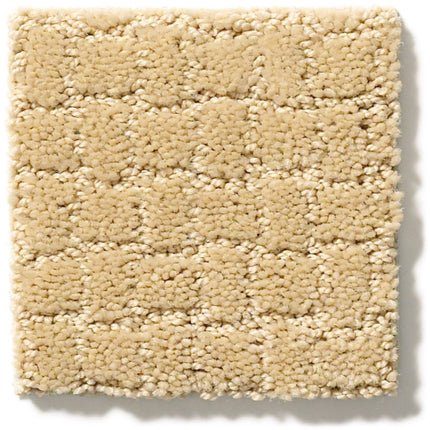 Pawstruck - ZZ081_00223-Carpet