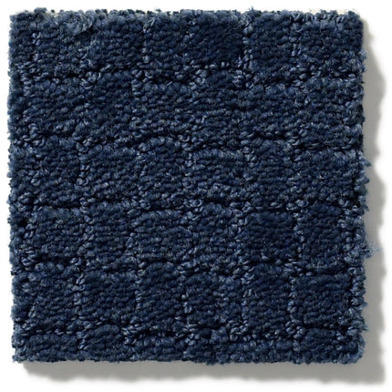 Pawstruck - ZZ081_00445-Carpet