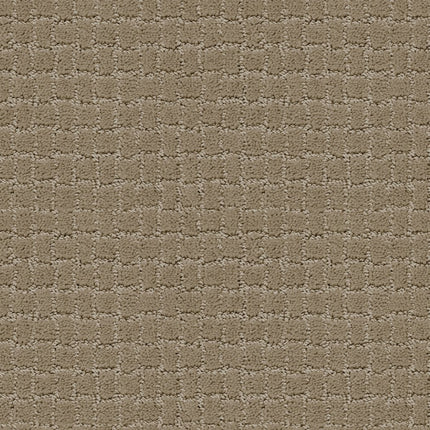 Pawstruck - ZZ081_00712-Carpet