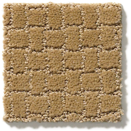 Pawstruck - ZZ081_00224-Carpet