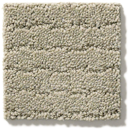 Pawstruck - ZZ081_00533-Carpet