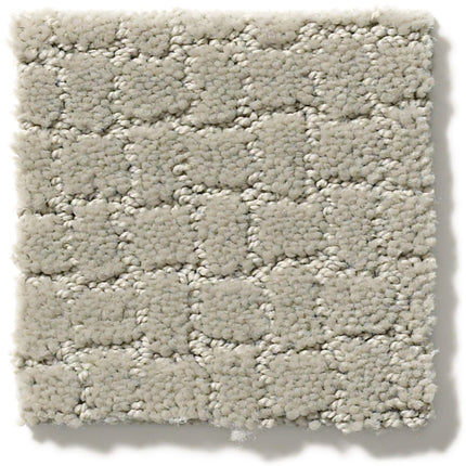 Pawstruck - ZZ081_00531-Carpet