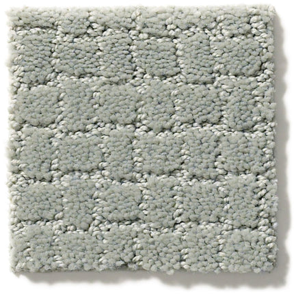 Pawstruck - ZZ081_00451-Carpet