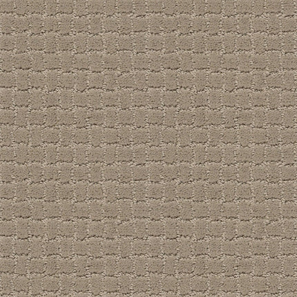 Pawstruck - ZZ081_00711-Carpet