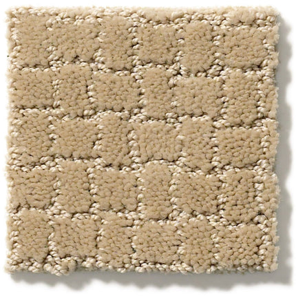 Pawstruck - ZZ081_00115-Carpet