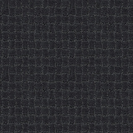Pawstruck - ZZ081_00558-Carpet