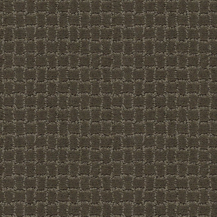 Pawstruck - ZZ081_00716-Carpet