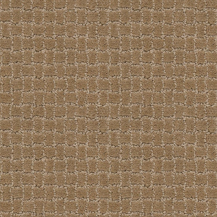 Pawstruck - ZZ081_00186-Carpet
