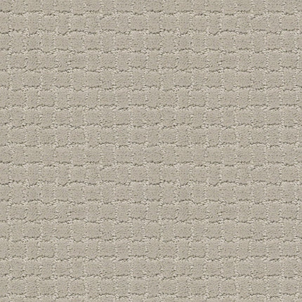 Pawstruck - ZZ081_00511-Carpet