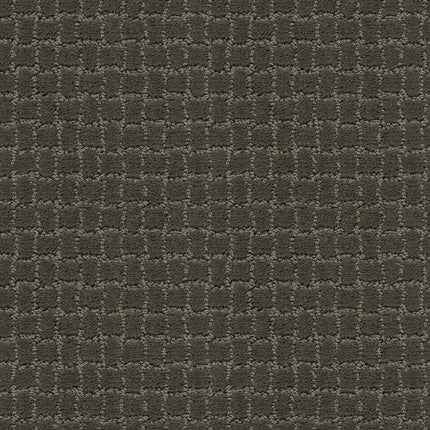 Pawstruck - ZZ081_00576-Carpet