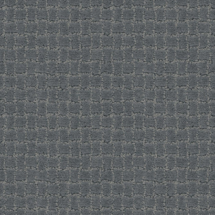 Pawstruck - ZZ081_00545-Carpet