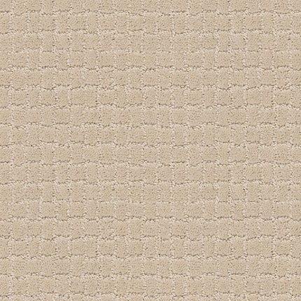 Pawstruck - ZZ081_00183-Carpet