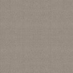Pumice Stone