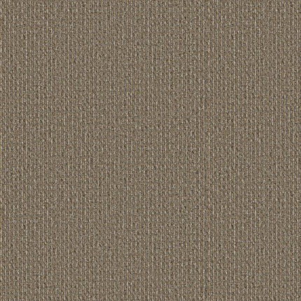 PRELUDE - 54990 - 00206 - Carpet