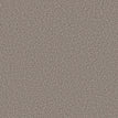Chic Taupe