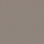 Chic Taupe