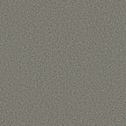 Lunar Surface